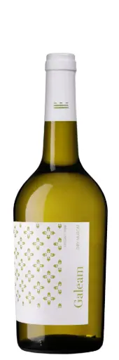 Galeam Dry Muscat Bio 2023